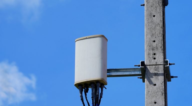 What are small cells?