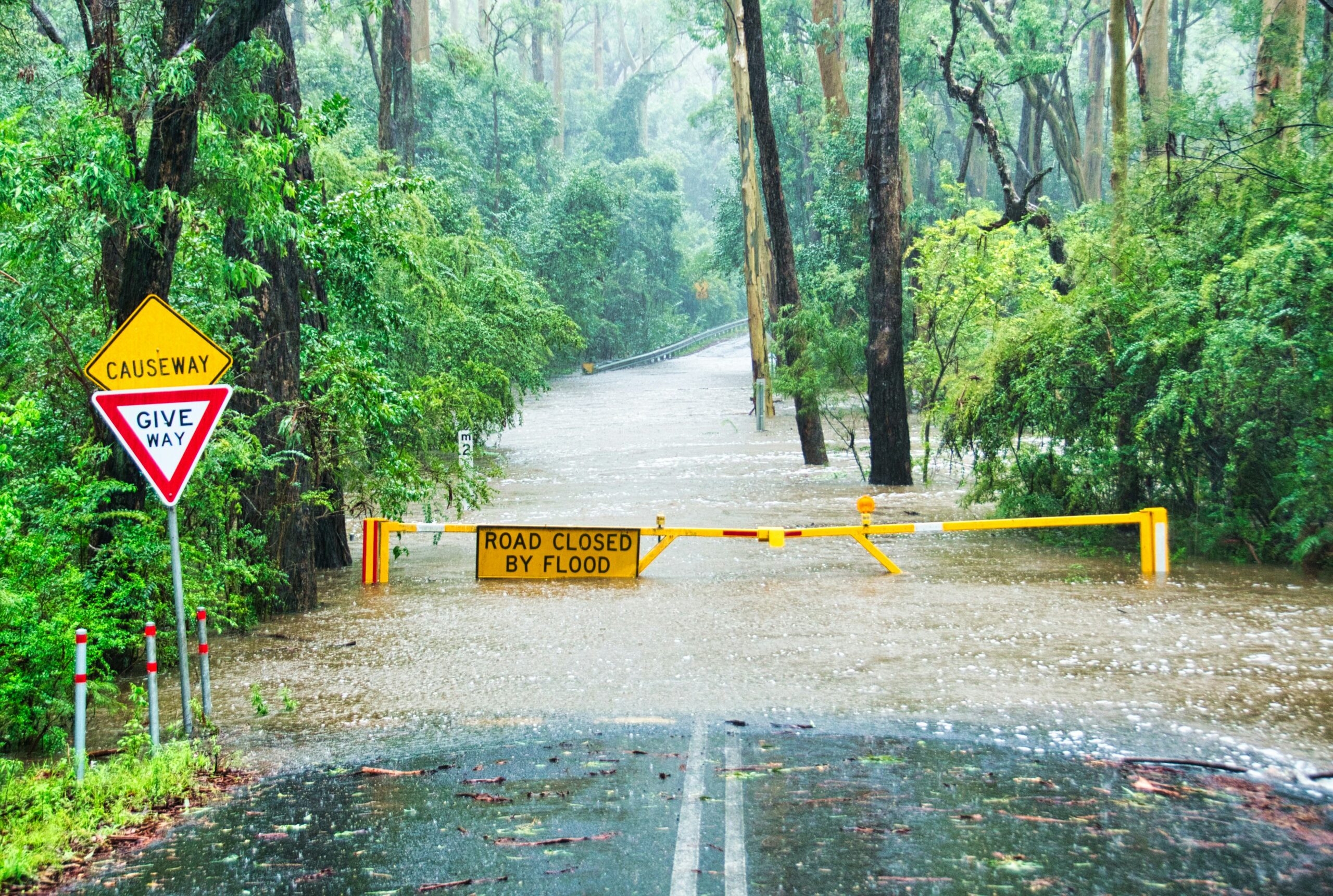 Mobile Industry Resilience During Natural Disasters